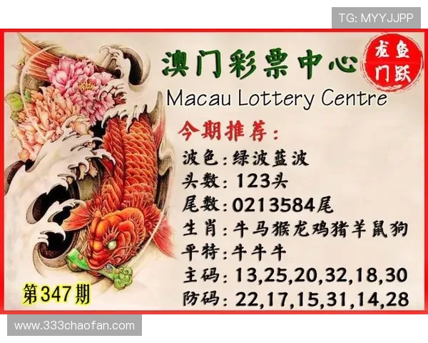 澳门新彩网app下载最新版：畅享最新彩票资讯与便捷服务